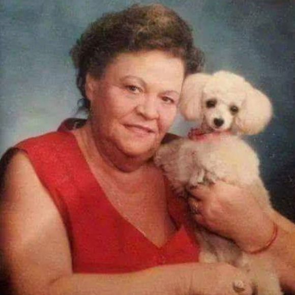 Meet your Posher, Heidi - Picture 1 of 1